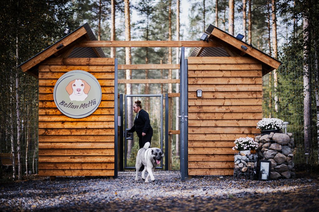 koirametsä